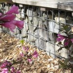 cropped-IMG_0770.jpg