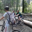 MTB-Ausfahrt-Wald-kompr