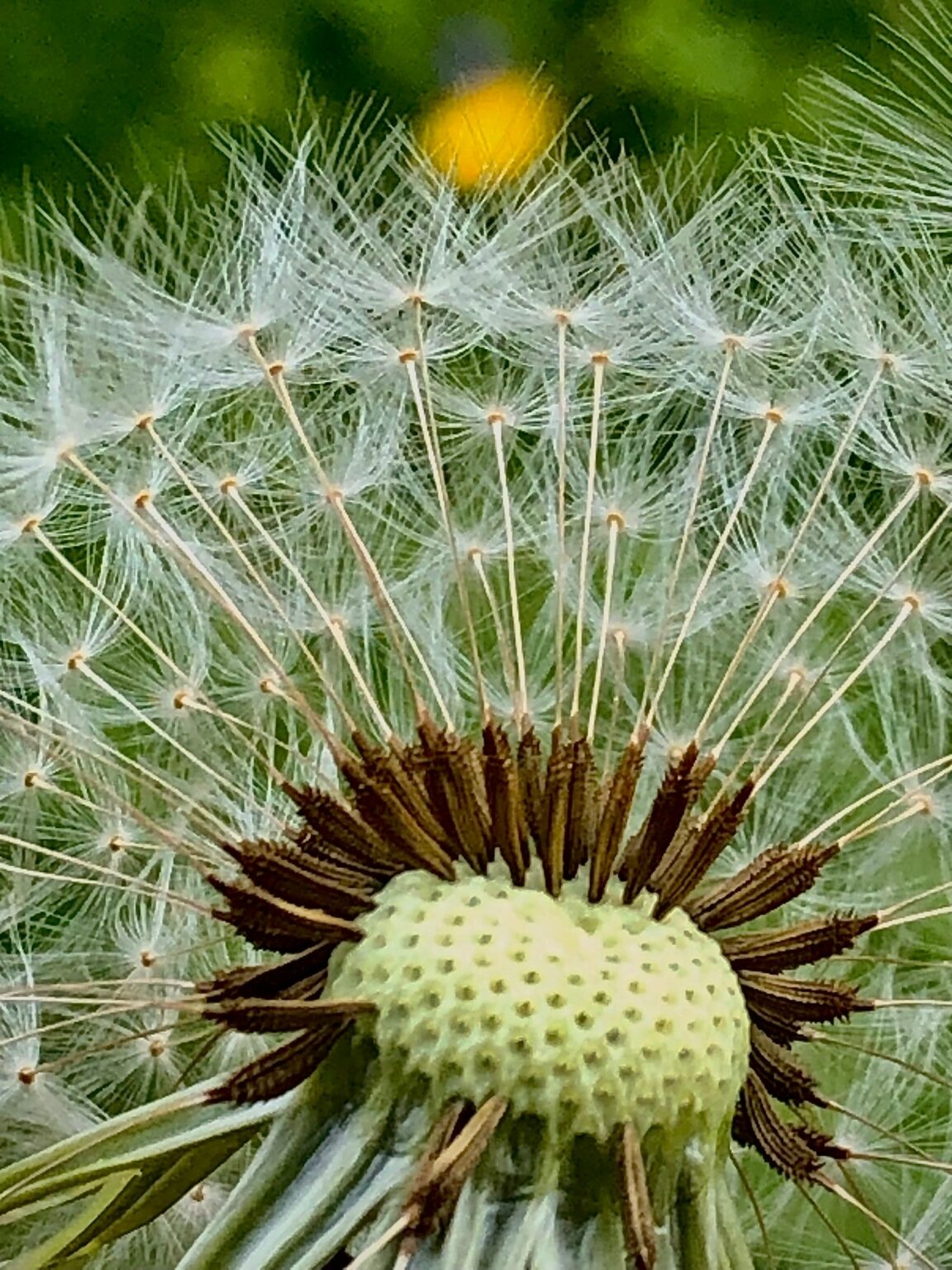 BILDUNGSZENTRUM Bodnegg